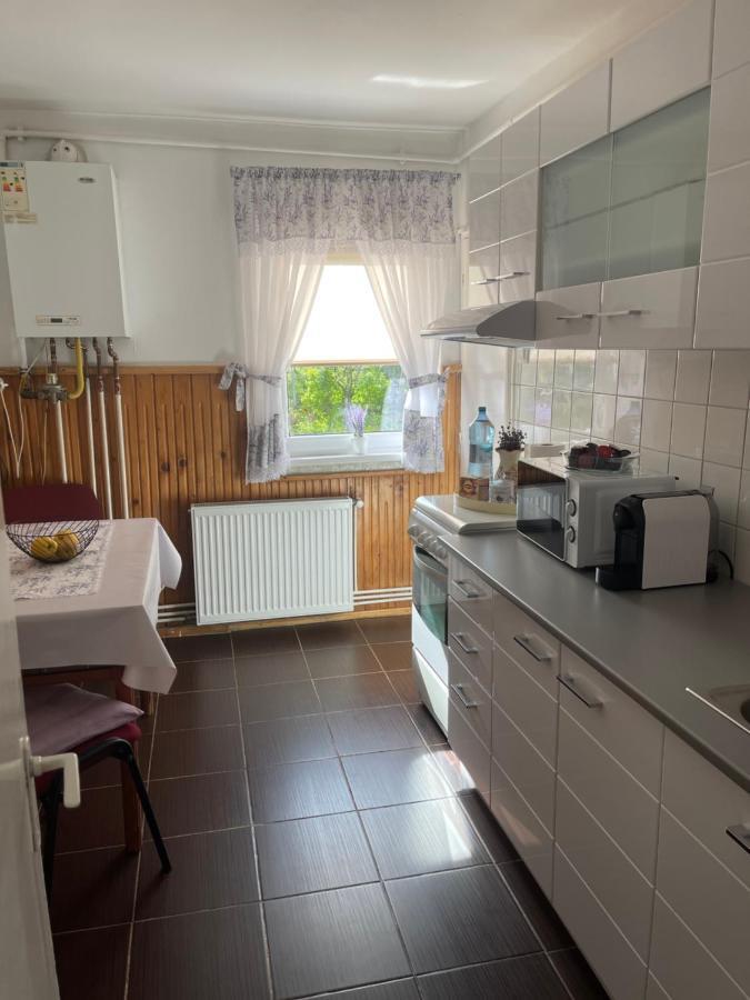 Apartmán L&D Apartament Sibiu Exteriér fotografie
